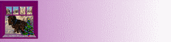 Booker assis dans la neige fond fuschia